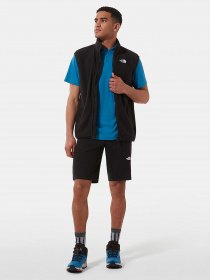 Повсякденні шорти The North Face Lightning модель NF0A495OJK31 Фото