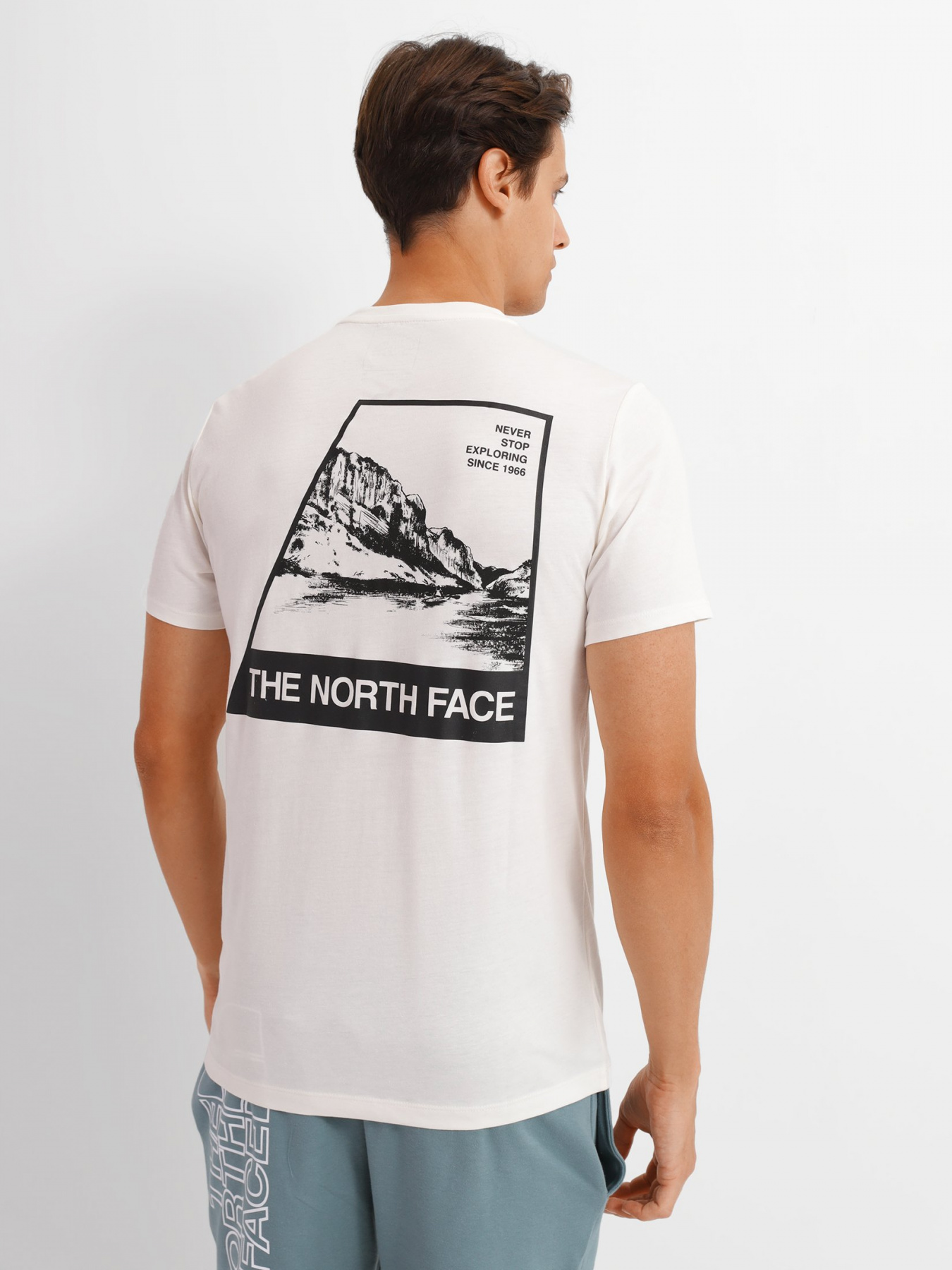 Футболка The North Face Foundation Tee модель NF0A55EFN3N1 Фото
