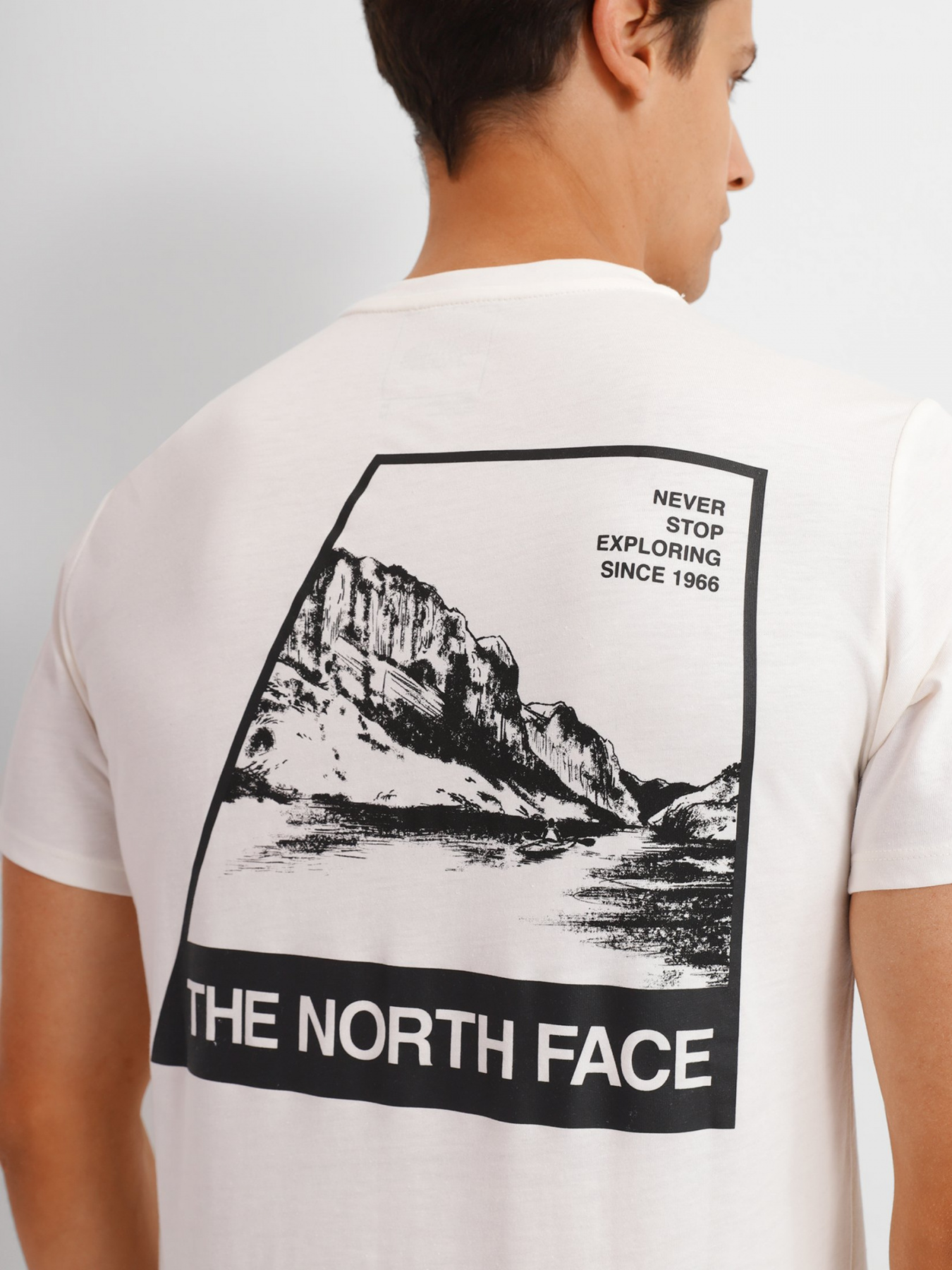 Футболка The North Face Foundation Tee модель NF0A55EFN3N1 Фото