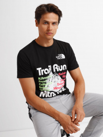 Футболка The North Face Foundation Tee модель NF0A55EFAGS1 Фото