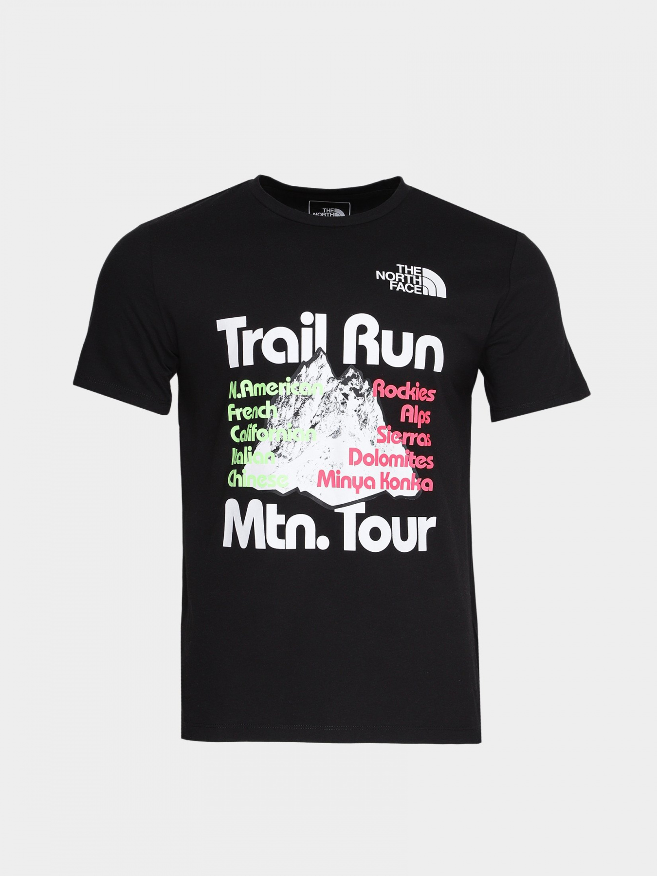 Футболка The North Face Foundation Tee модель NF0A55EFAGS1 Фото