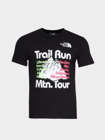 Футболка The North Face Foundation Tee модель NF0A55EFAGS1 Фото