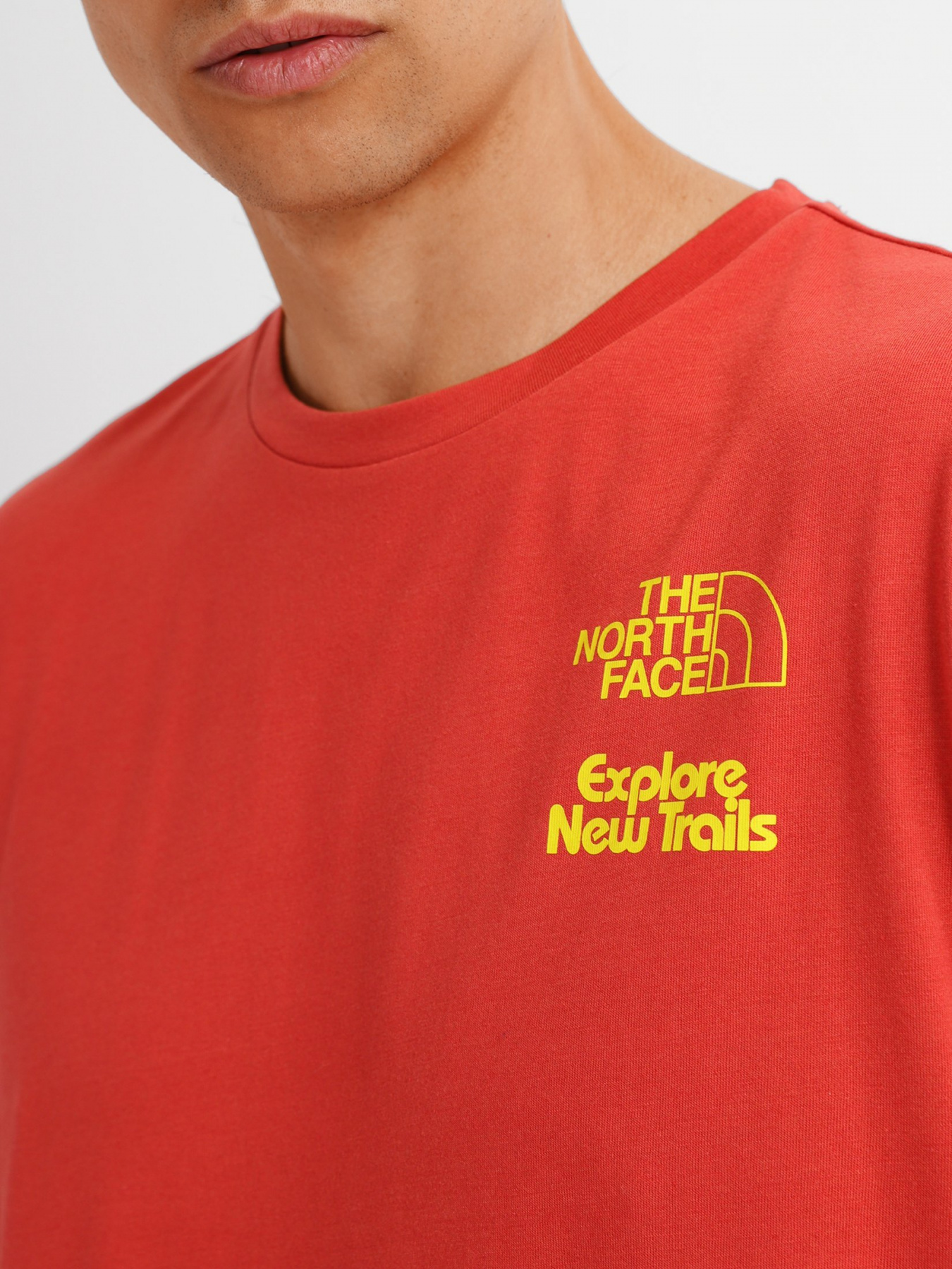 Футболки і поло The North Face Foundation Tee модель NF0A55EFUBR1 Фото