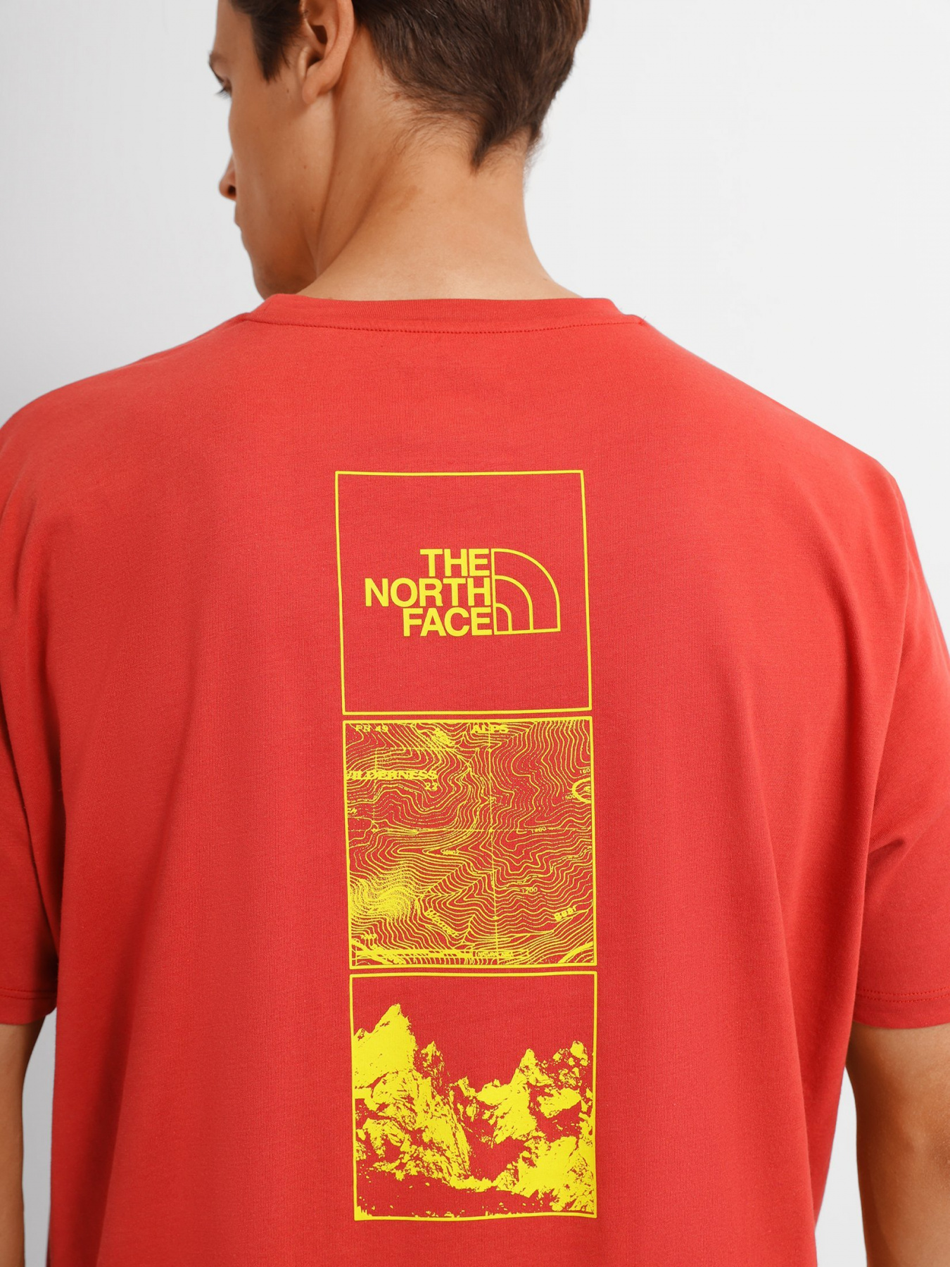 Футболки і поло The North Face Foundation Tee модель NF0A55EFUBR1 Фото