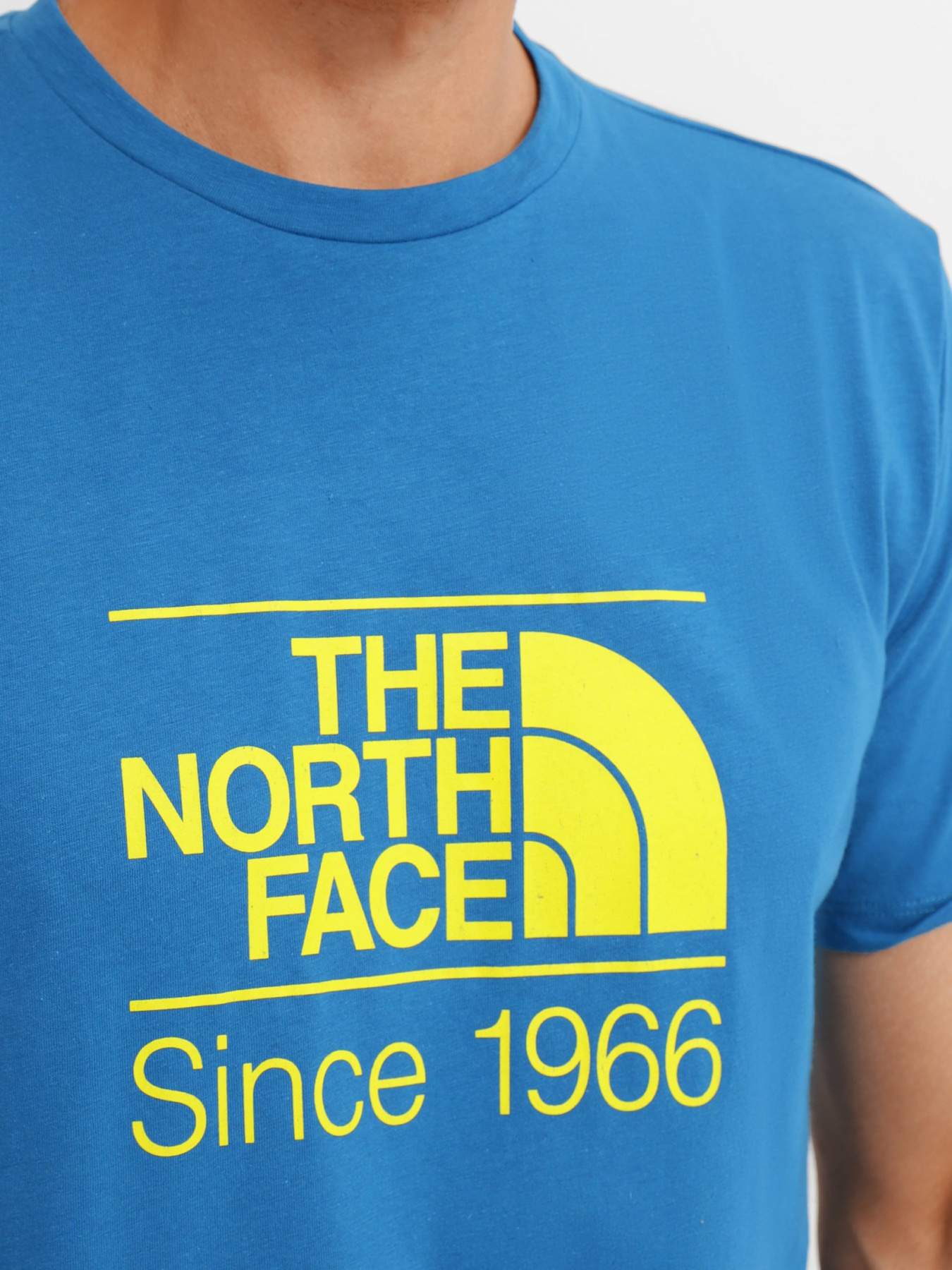 Футболки і поло The North Face Foundation Tee модель NF0A55EFM191 Фото