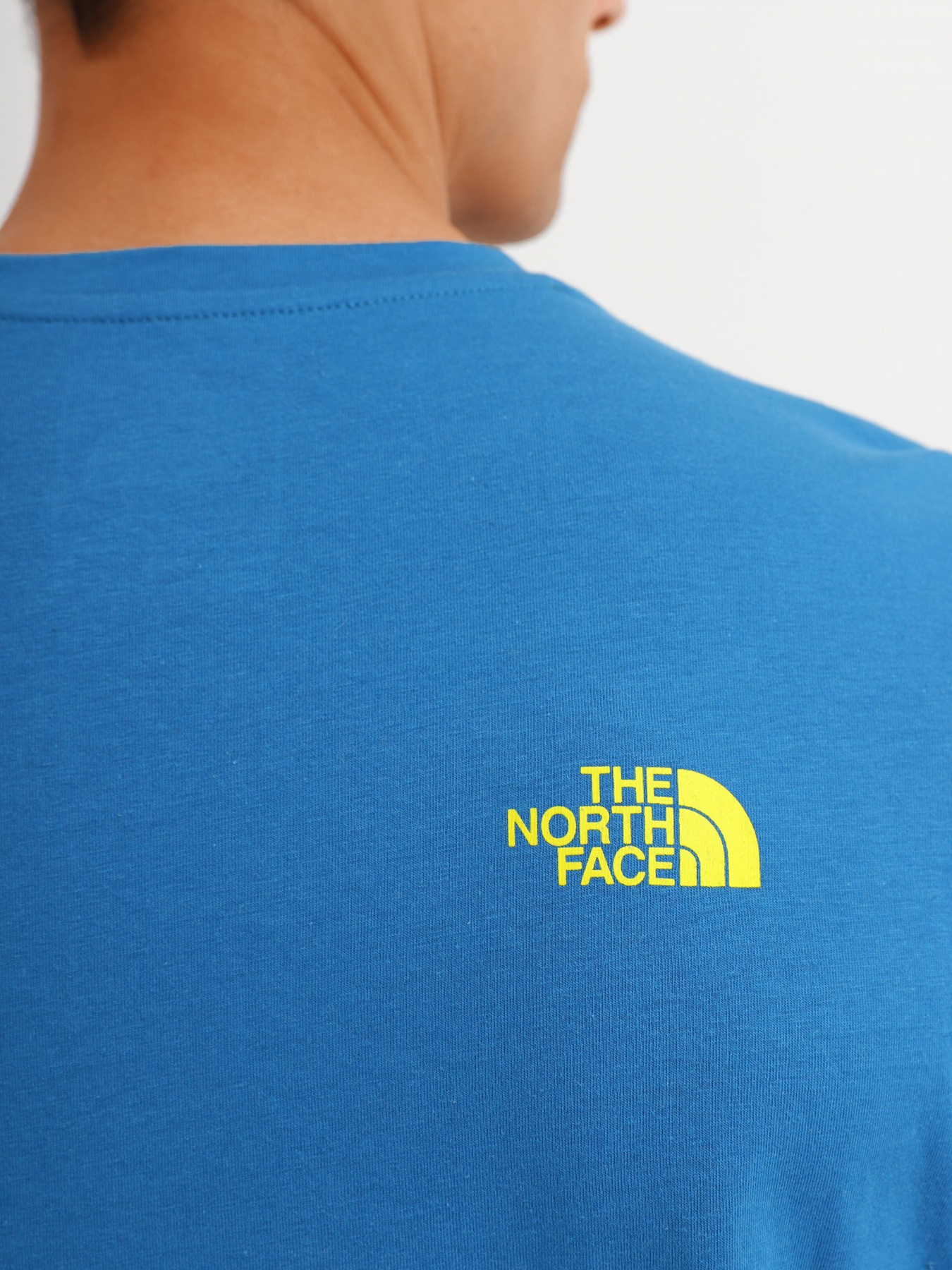 Футболки і поло The North Face Foundation Tee модель NF0A55EFM191 Фото