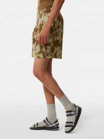 Шорти The North Face Class V модель NF0A7QLC53M1 Фото