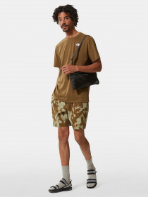 Повсякденні шорти The North Face Class V модель NF0A7QLC53M1 Фото