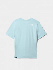 Футболка спортивная The North Face Simple Dome модель NF0A4CES3R31 Фото