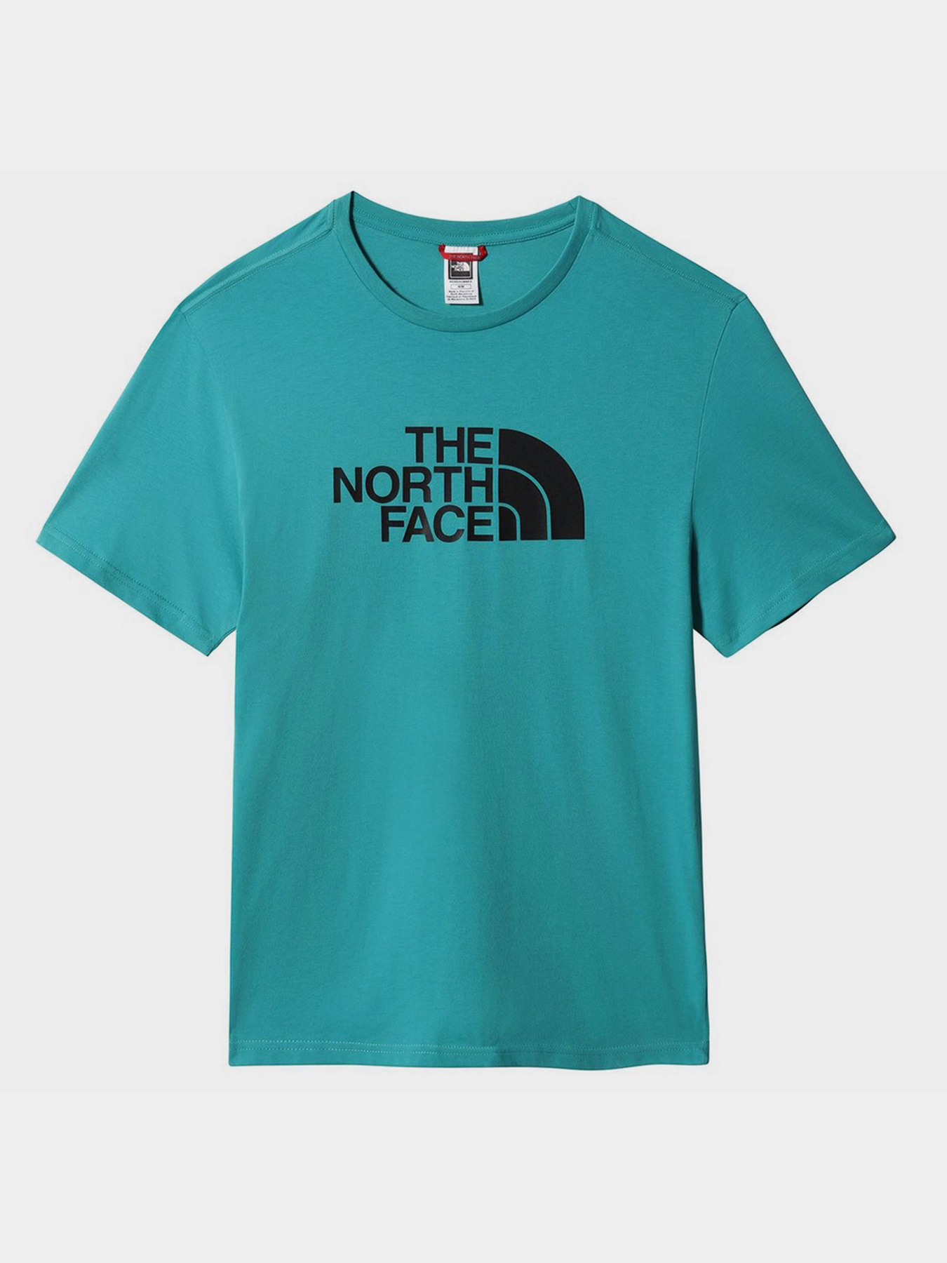 Футболка The North Face Easy модель NF0A2TX32KQ1 Фото