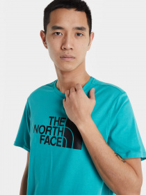 Футболка The North Face Easy модель NF0A2TX32KQ1 Фото