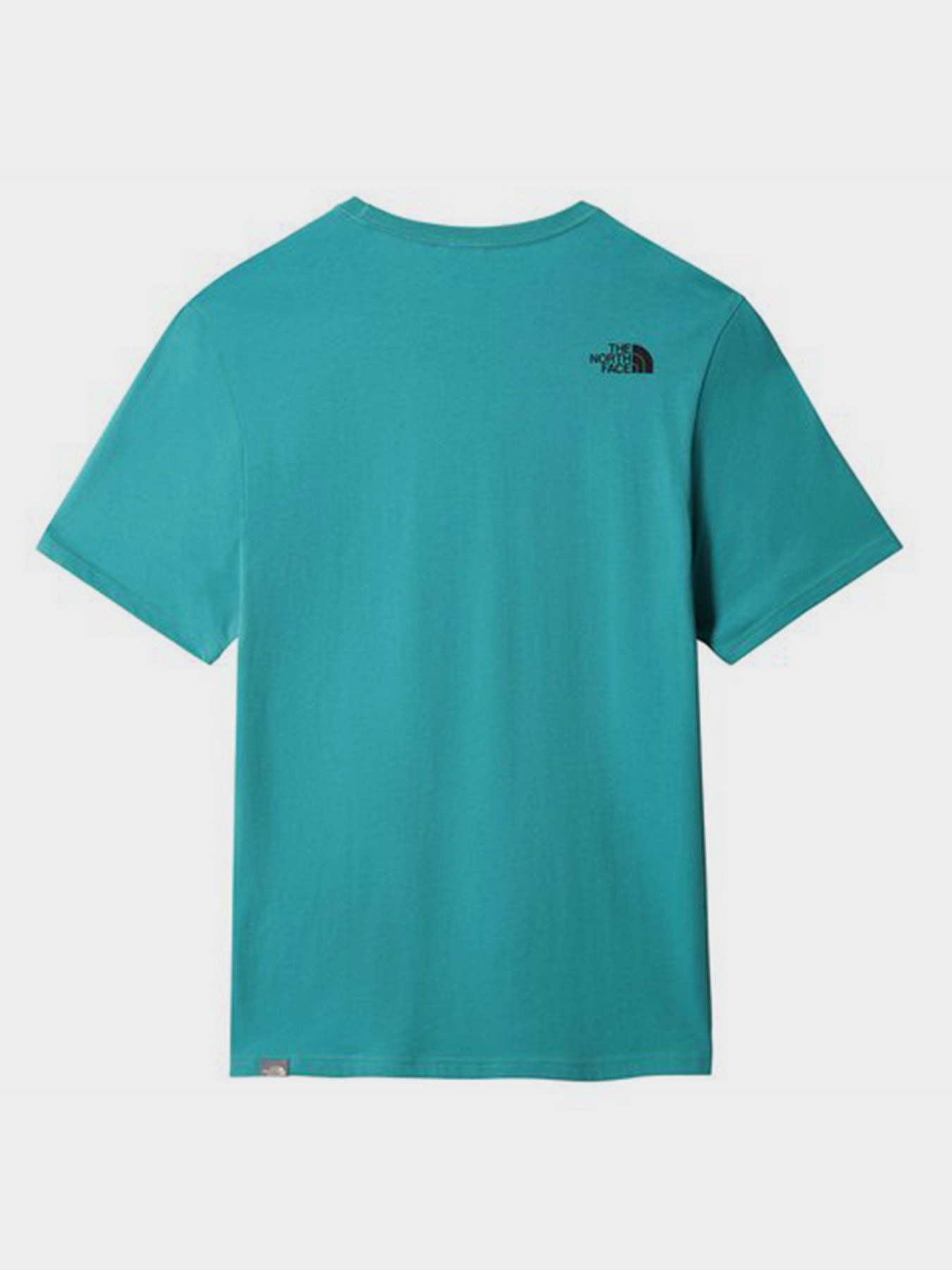 Футболка The North Face Easy модель NF0A2TX32KQ1 Фото