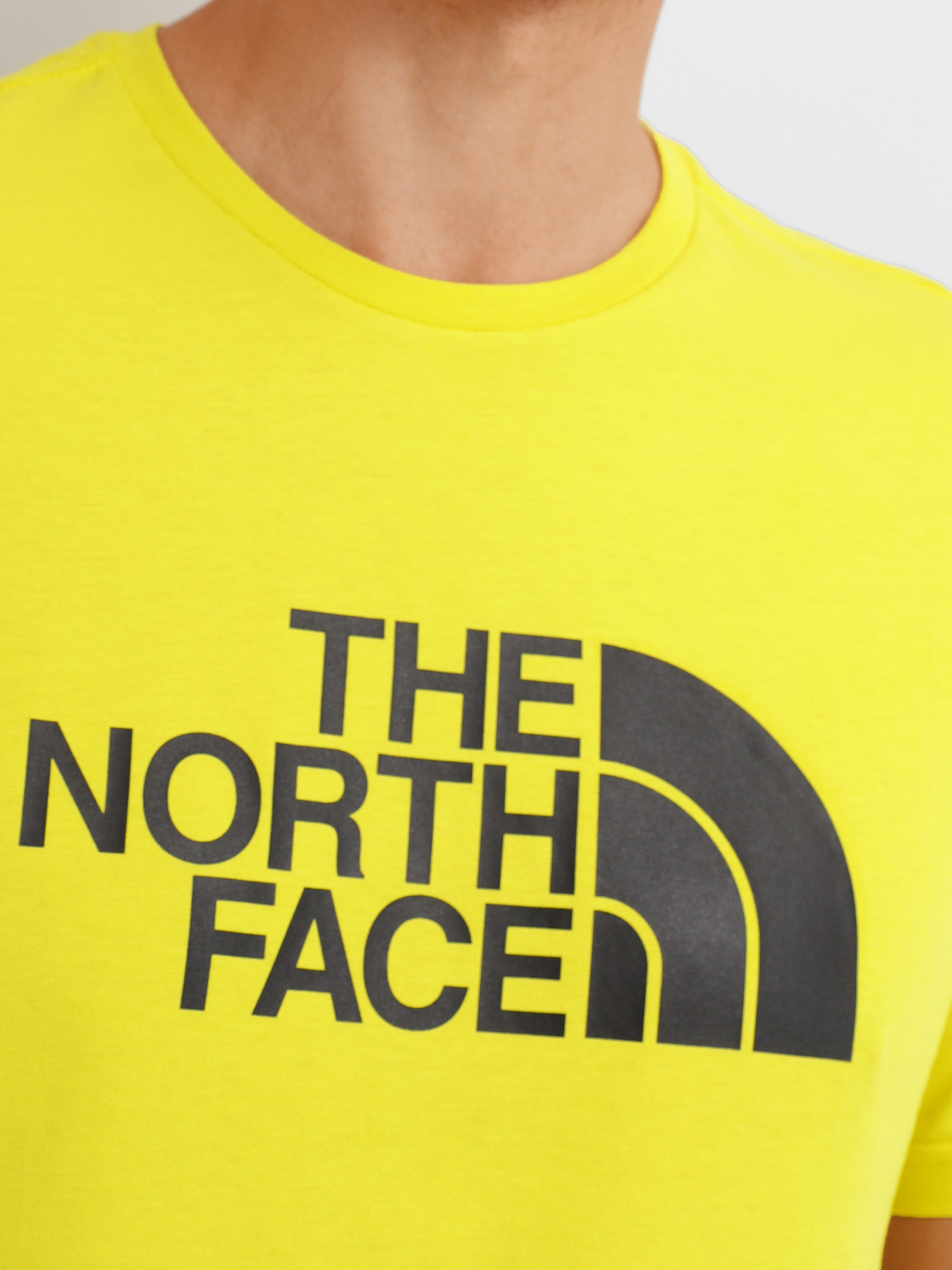 Футболка The North Face Easy модель NF0A2TX37601 Футболка The North Face Easy модель NF0A2TX37601 Фото