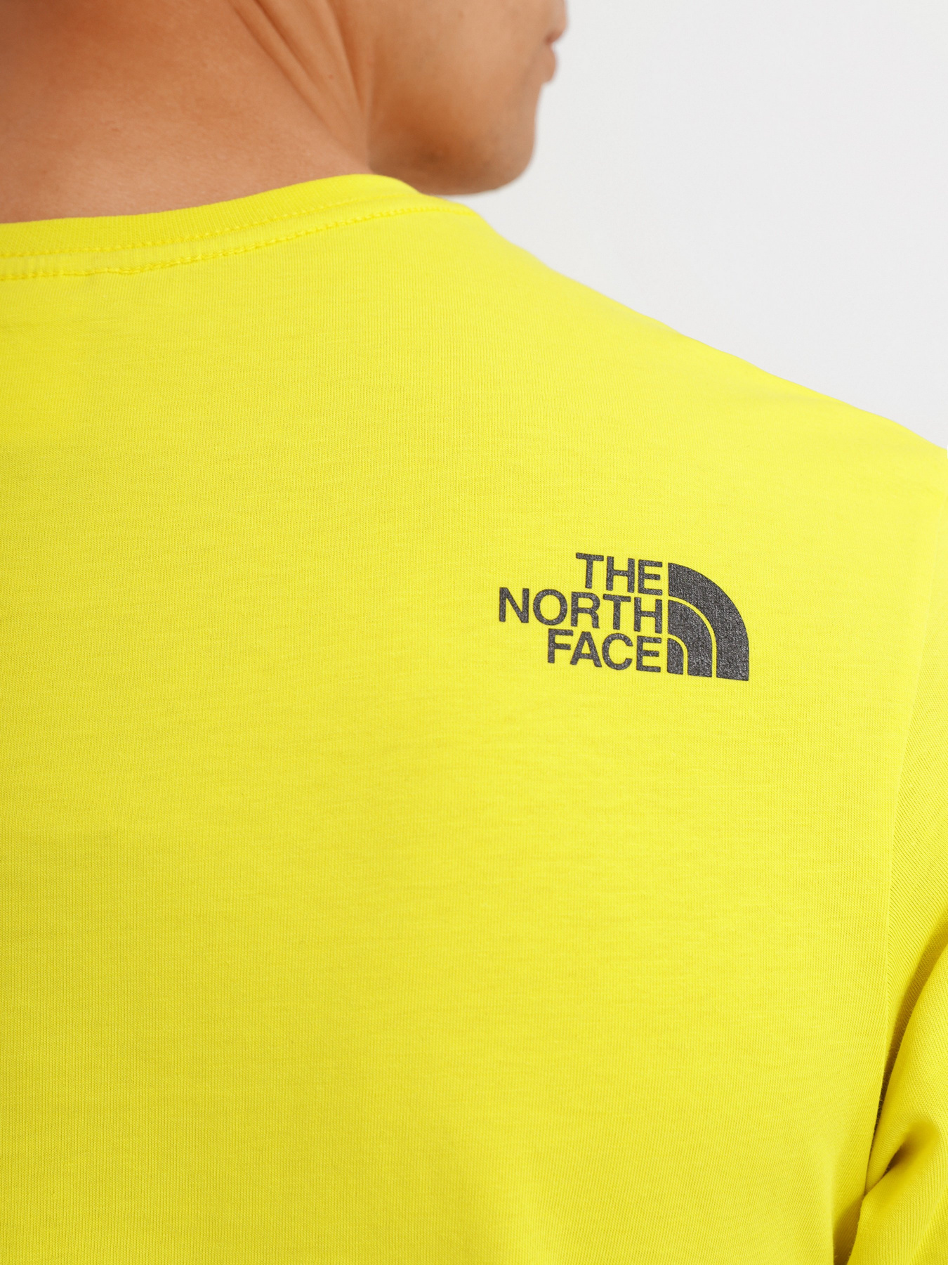 Футболка The North Face Easy модель NF0A2TX37601 Футболка The North Face Easy модель NF0A2TX37601 Фото