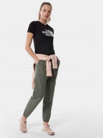 Футболки і поло The North Face Easy модель NF0A4T1QJK31 Фото