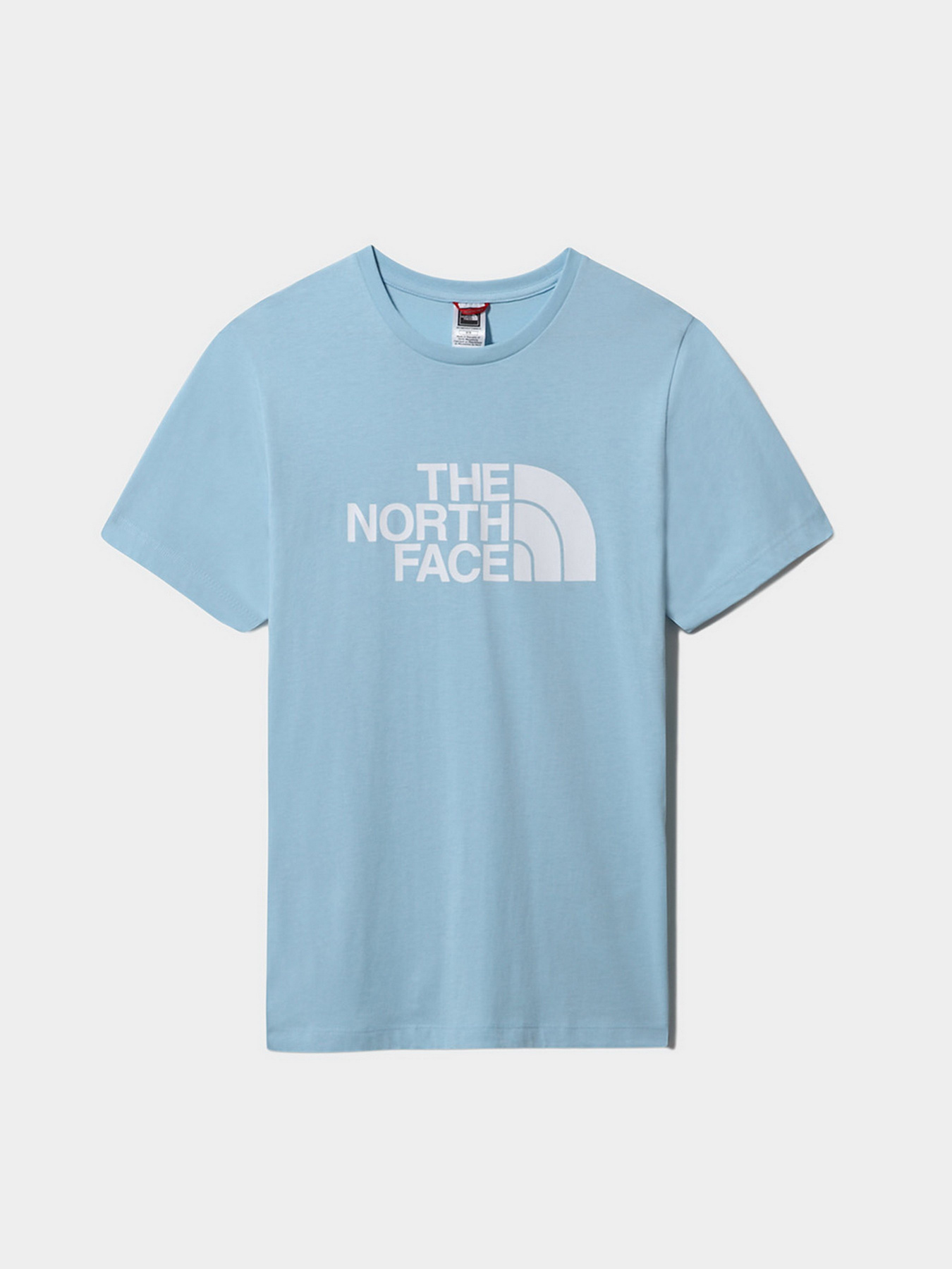 Футболка The North Face Easy модель NF0A4T1Q3R31 Фото