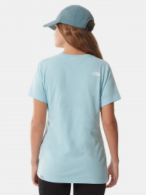Футболка The North Face Easy модель NF0A4T1Q3R31 Фото