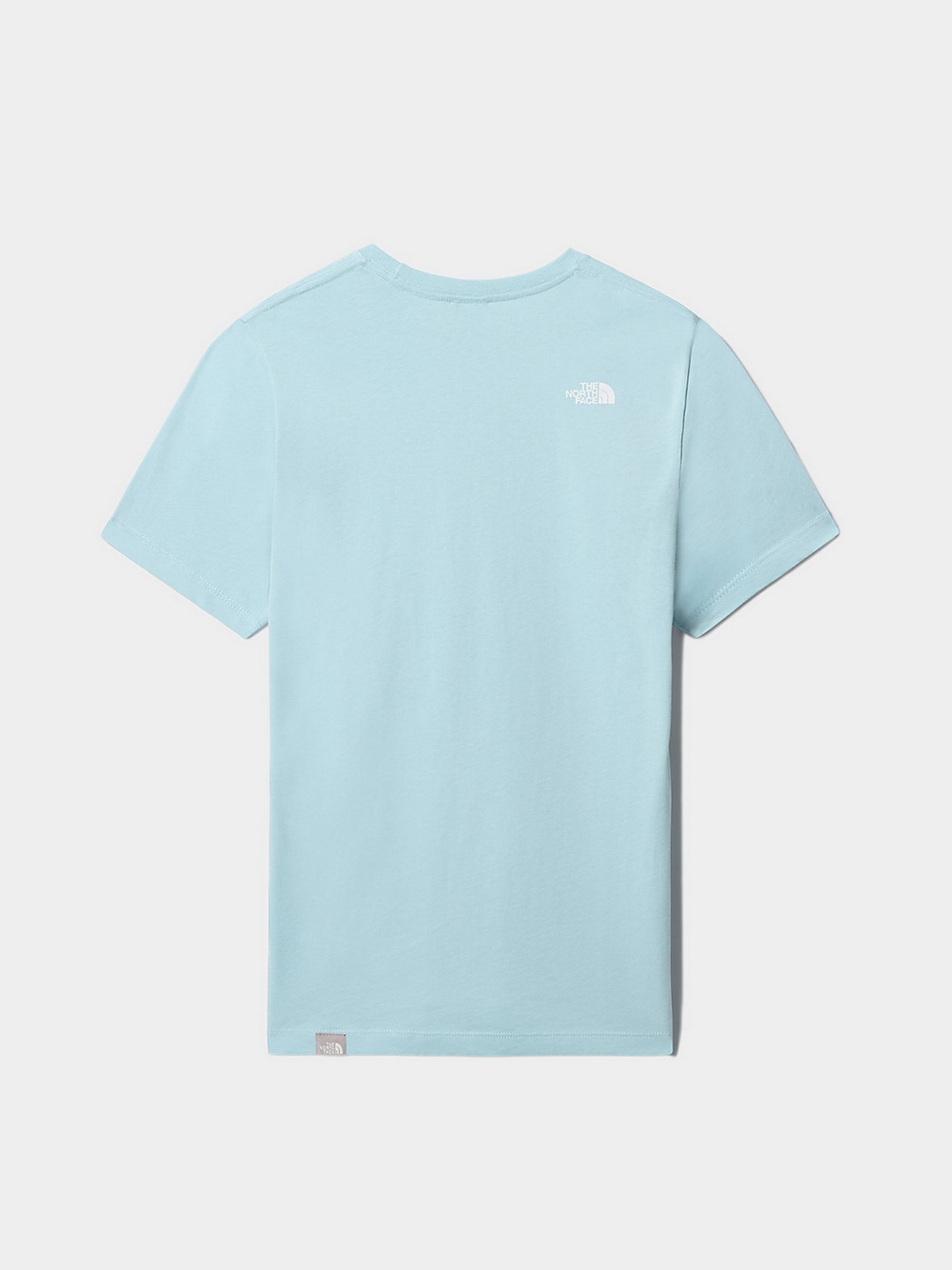 Футболка The North Face Easy модель NF0A4T1Q3R31 Футболка The North Face Easy модель NF0A4T1Q3R31 Фото