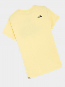 Футболка The North Face Easy модель NF0A4T1Q3R41 Фото