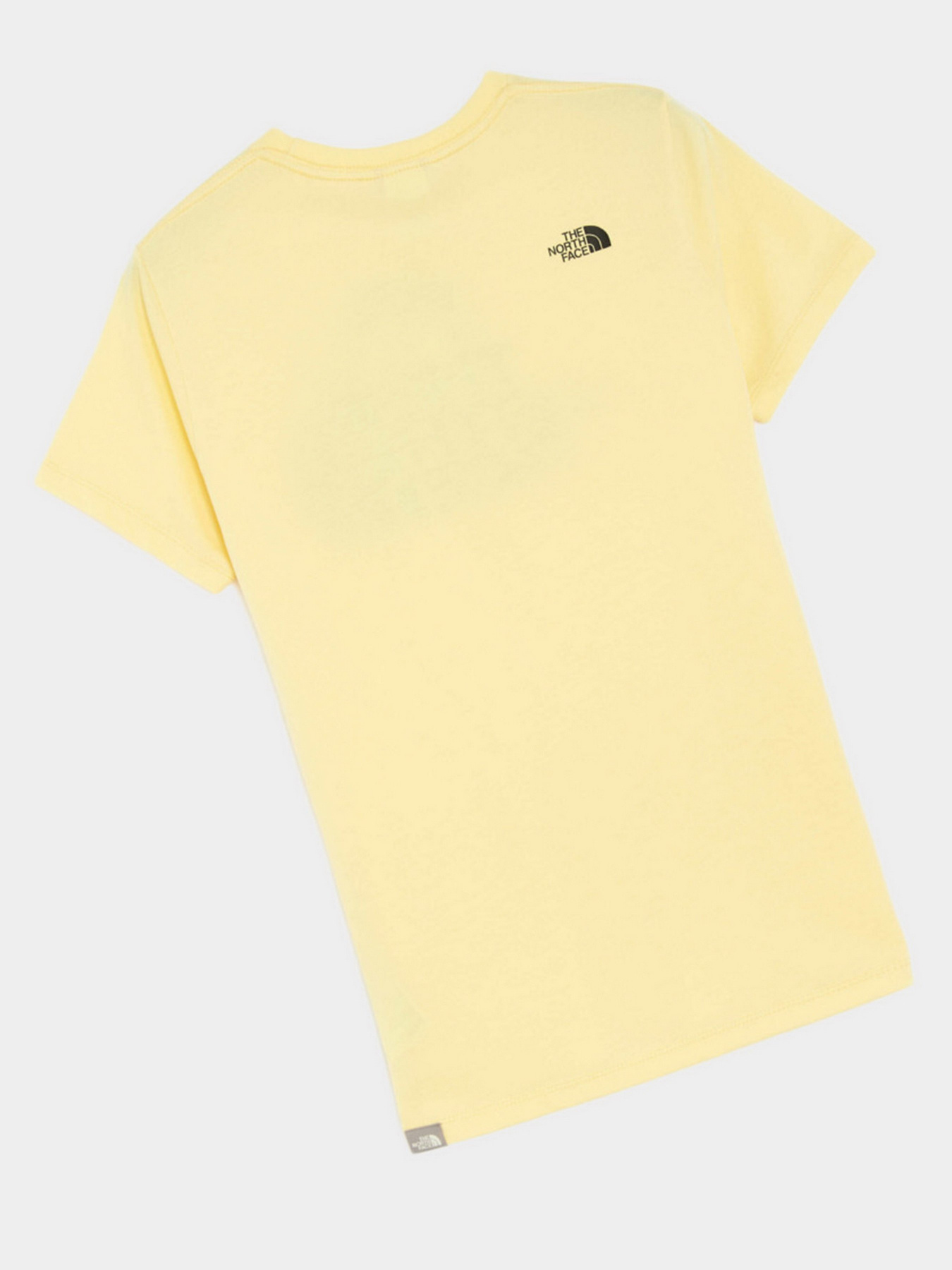 Футболка The North Face Easy модель NF0A4T1Q3R41 Фото