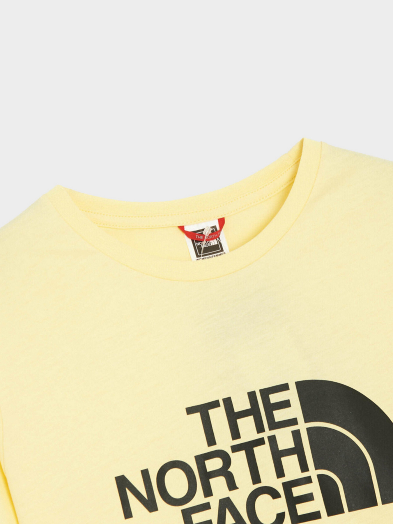 Футболка The North Face Easy модель NF0A4T1Q3R41 Фото