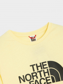 Футболка The North Face Easy модель NF0A4T1Q3R41 Фото