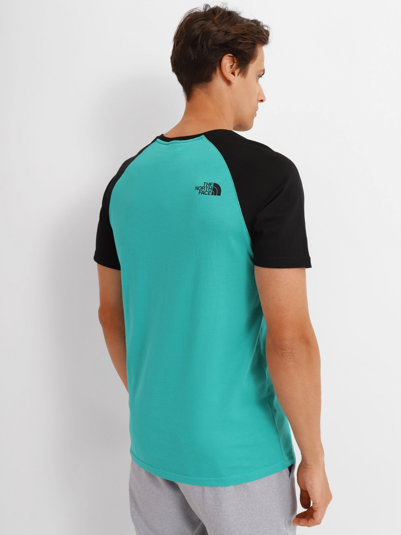 Футболка The North Face Raglan Easy модель NF0A37FVZCV1 Фото