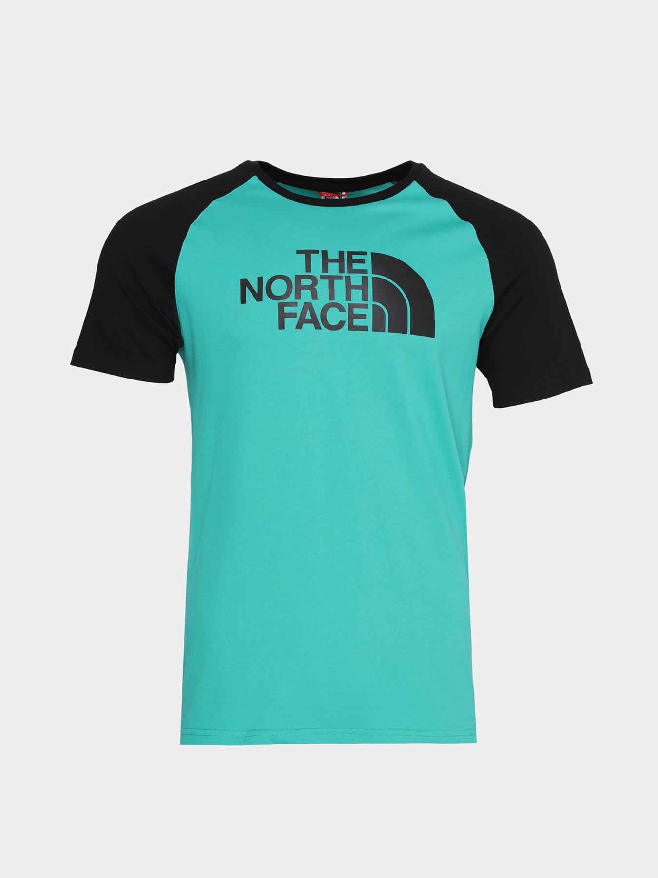 Футболка The North Face Raglan Easy модель NF0A37FVZCV1 Фото