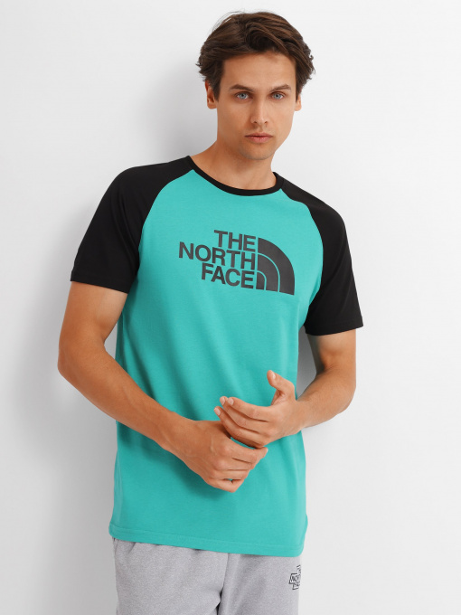 Футболка The North Face Raglan Easy модель NF0A37FVZCV1 Фото