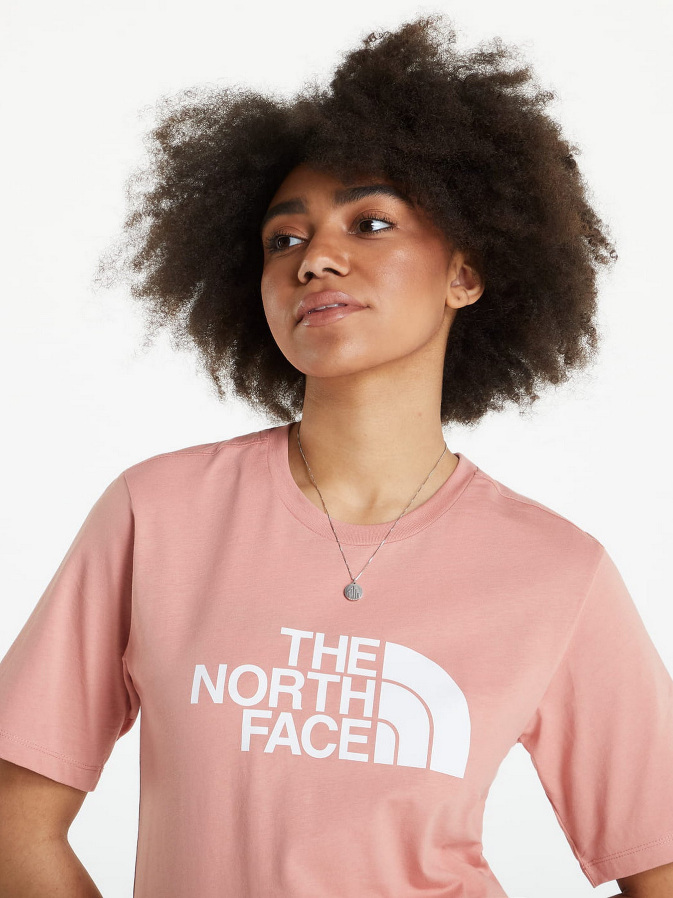 Футболка The North Face Easy модель NF0A4M5PHCZ1 Футболка The North Face Easy модель NF0A4M5PHCZ1 Фото