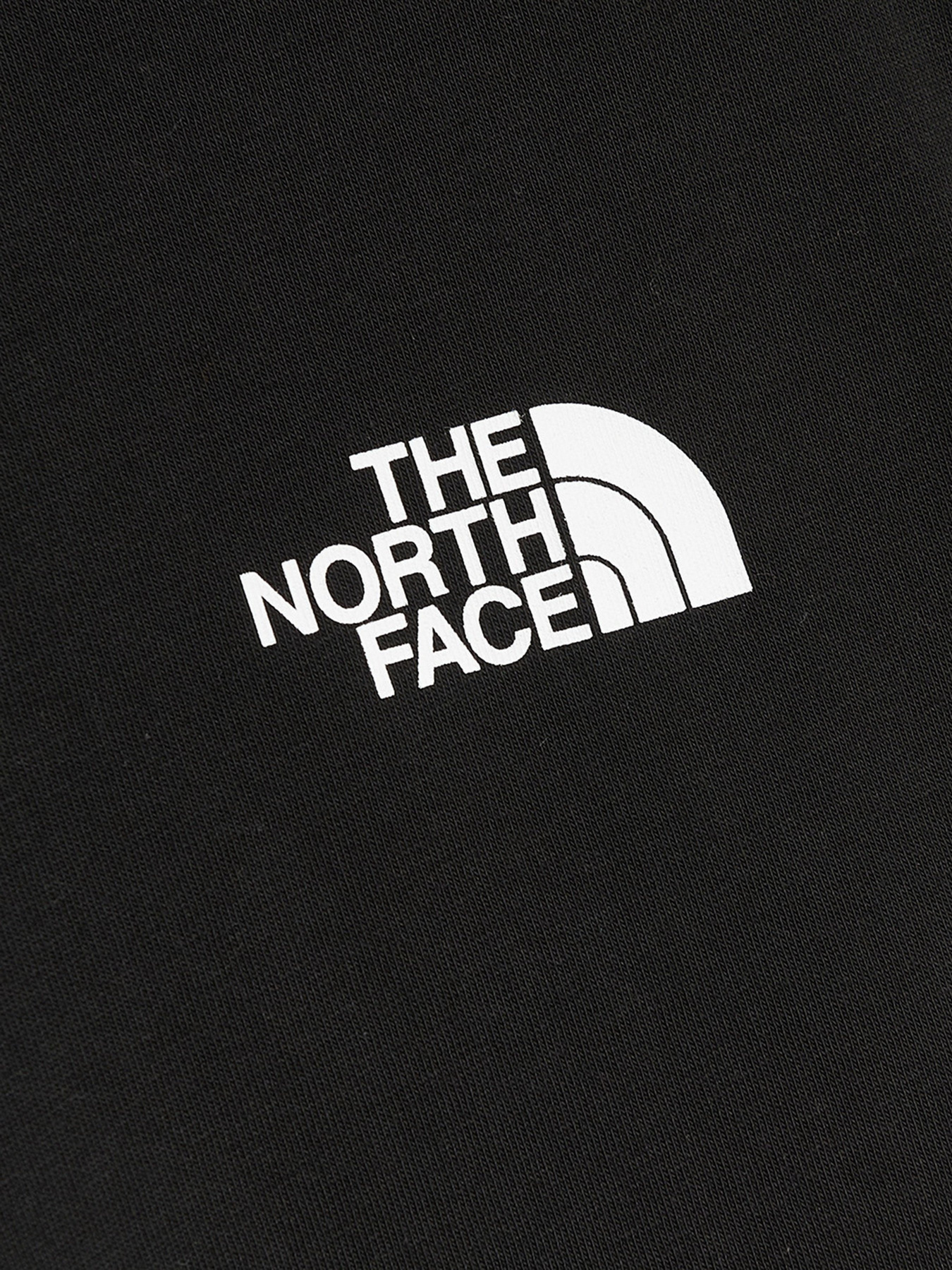 Футболки и поло The North Face Red Box модель NF0A2TX252Q1 Футболки и поло The North Face Red Box модель NF0A2TX252Q1 Фото