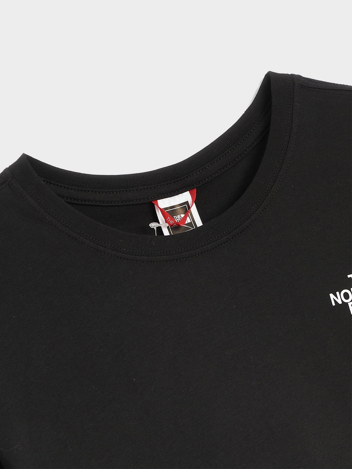 Футболки и поло The North Face Red Box модель NF0A2TX252Q1 Футболки и поло The North Face Red Box модель NF0A2TX252Q1 Фото