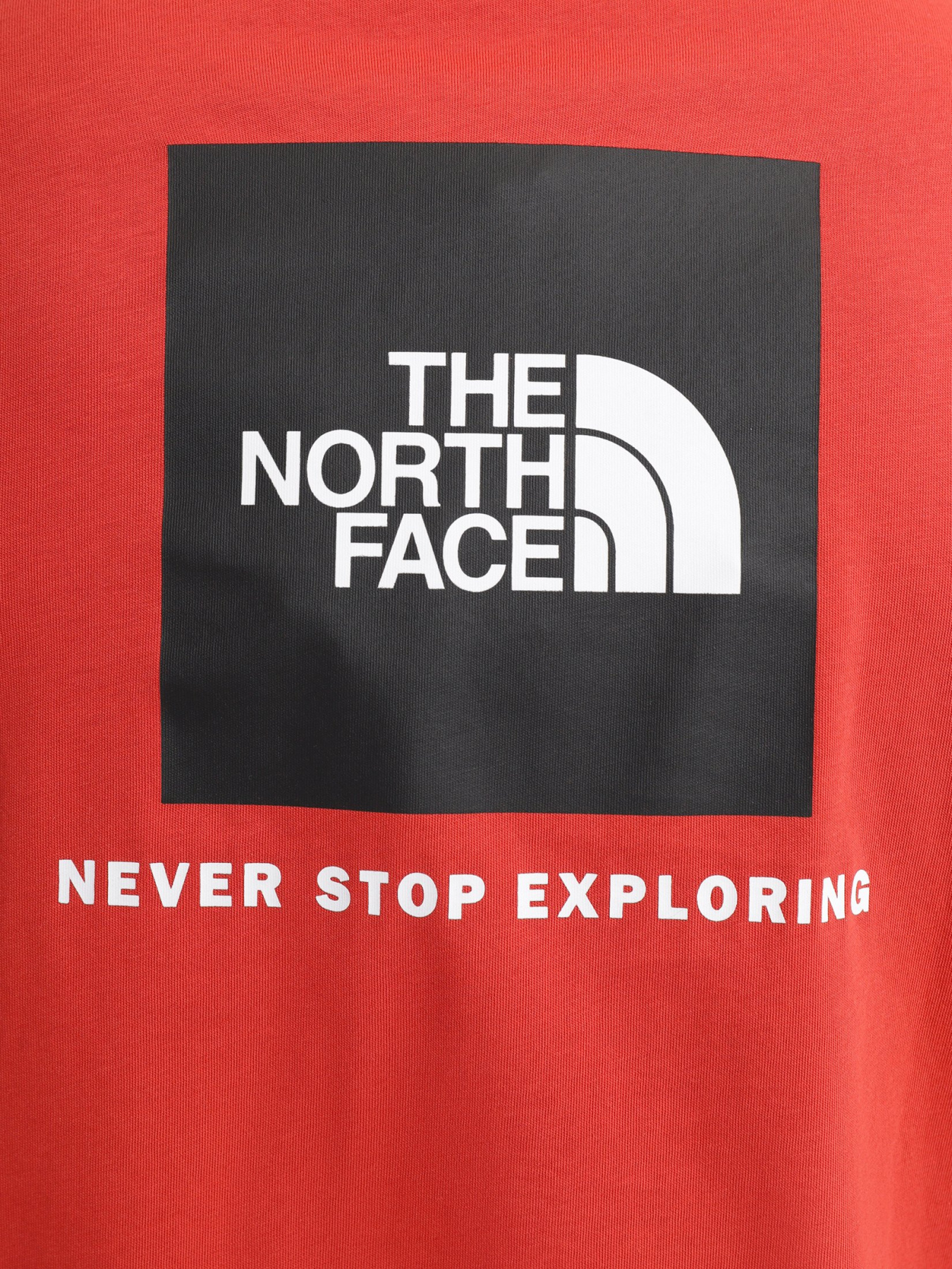 Футболка The North Face Red Box модель NF0A2TX2UBR1 Фото