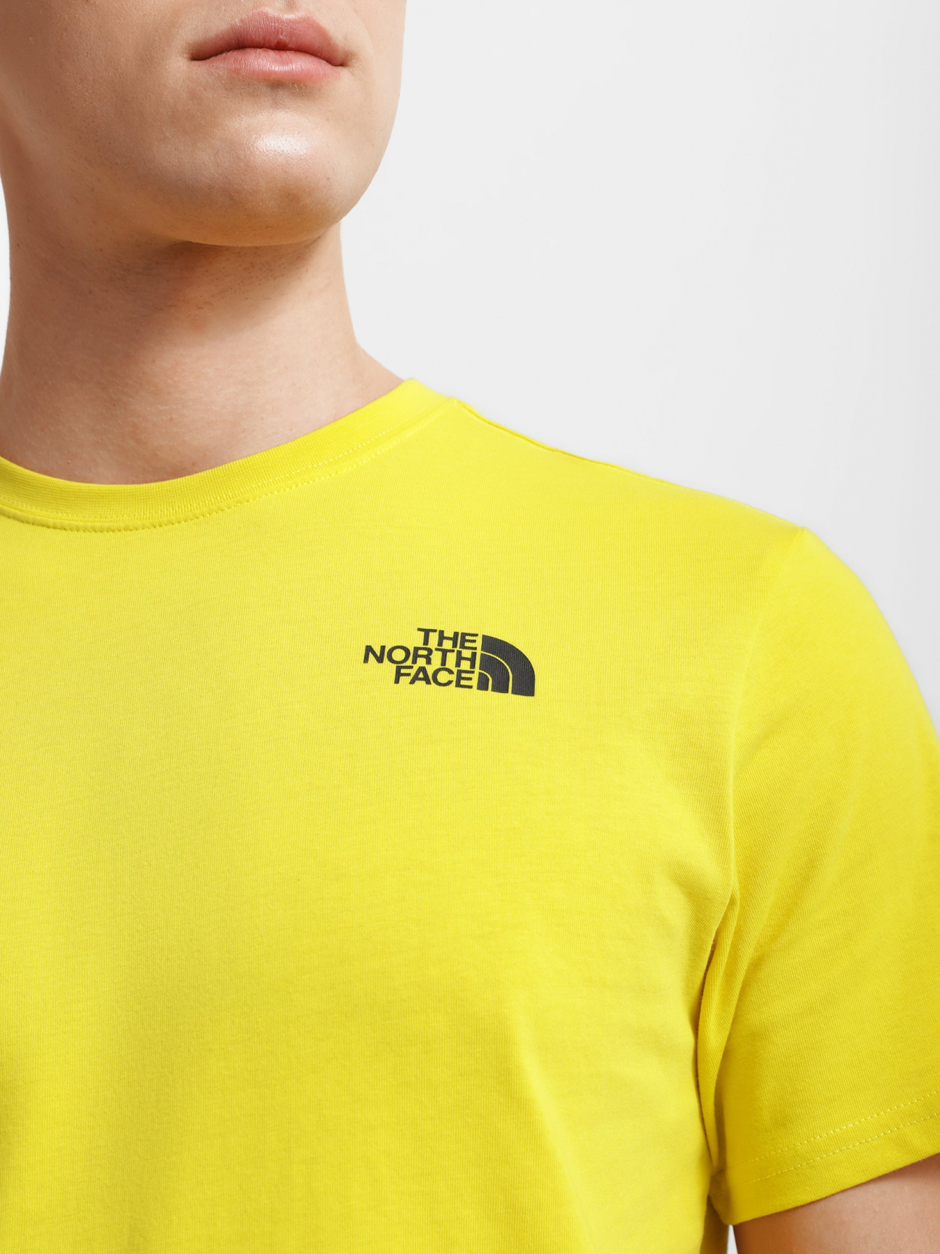 Футболка The North Face Red Box модель NF0A2TX27601 Фото