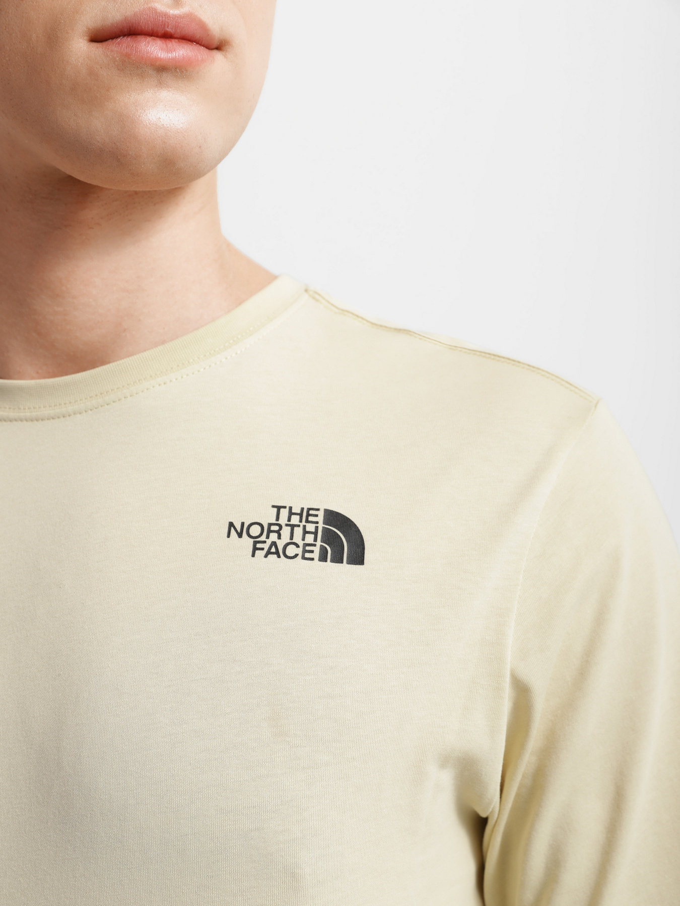 Лонгслив The North Face Red Box модель NF0A493L3X41 Фото