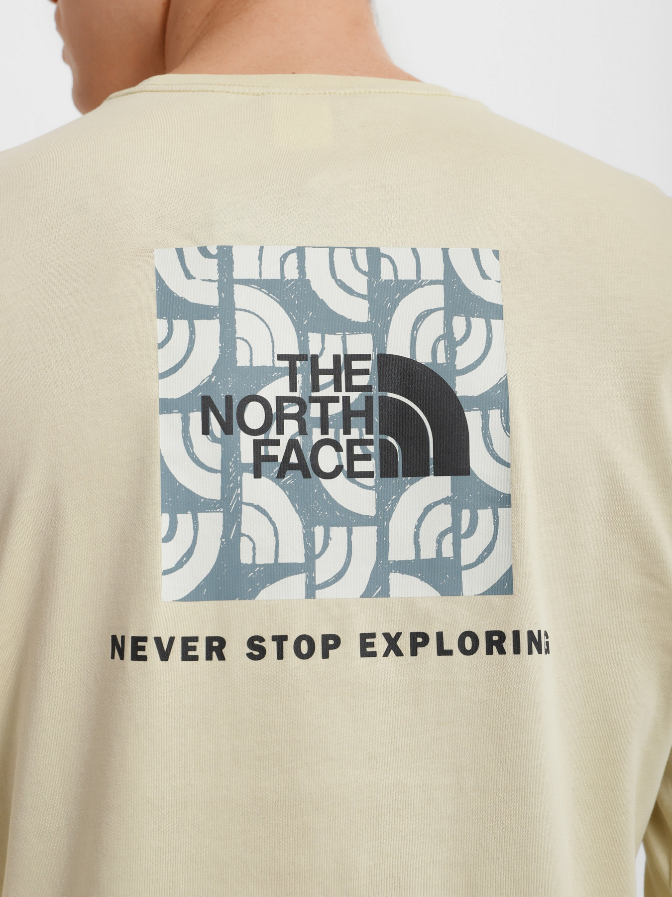 Лонгслив The North Face Red Box модель NF0A493L3X41 Фото