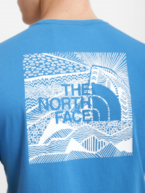 Футболки и поло The North Face Redbox Celebration модель NF0A2ZXEM191 Фото