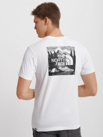 Футболки и поло The North Face Redbox Celebration модель NF0A2ZXEFN41 Фото