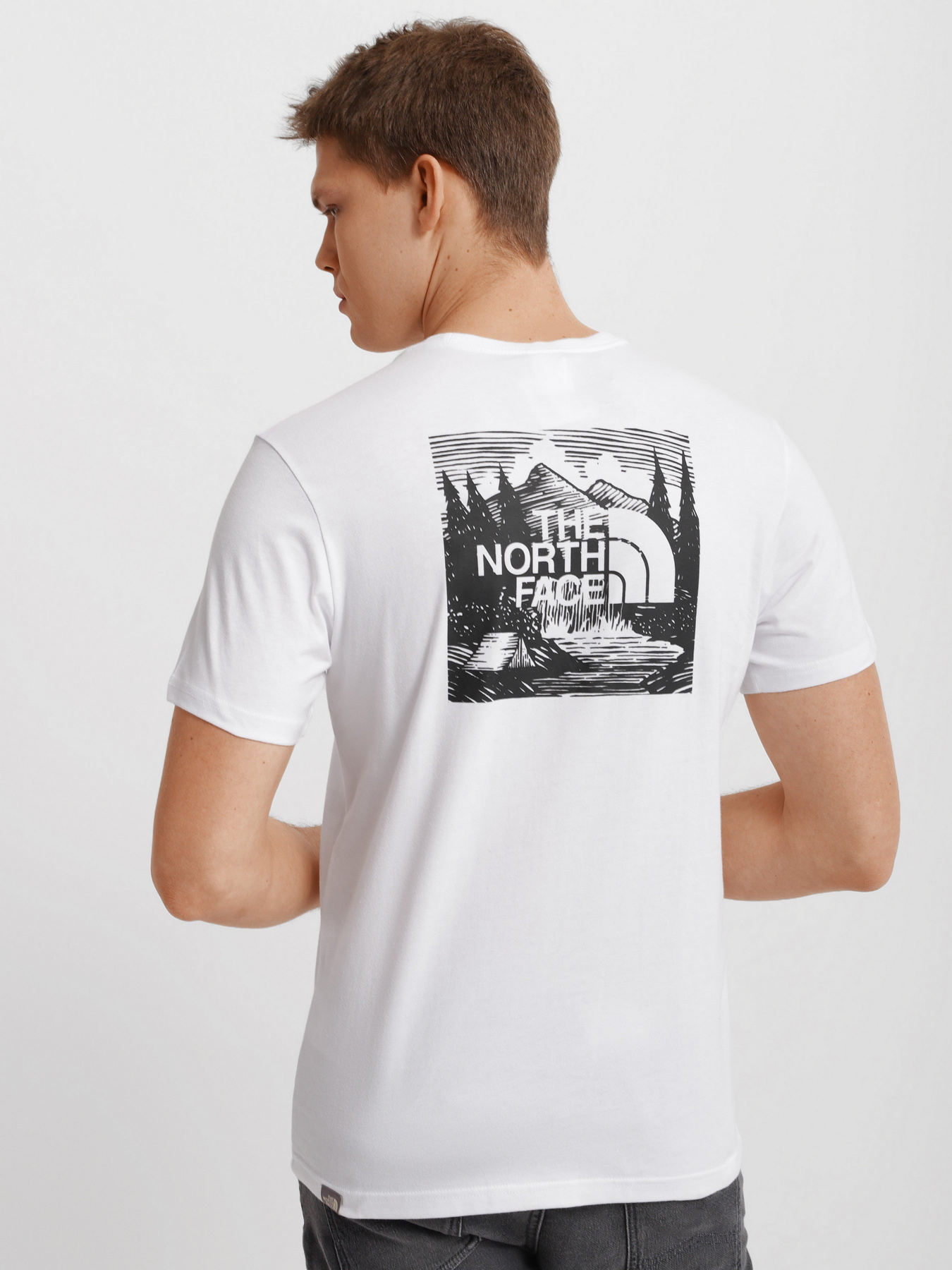 Футболки и поло The North Face Redbox Celebration модель NF0A2ZXEFN41 Фото