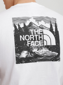 Футболки и поло The North Face Redbox Celebration модель NF0A2ZXEFN41 Фото