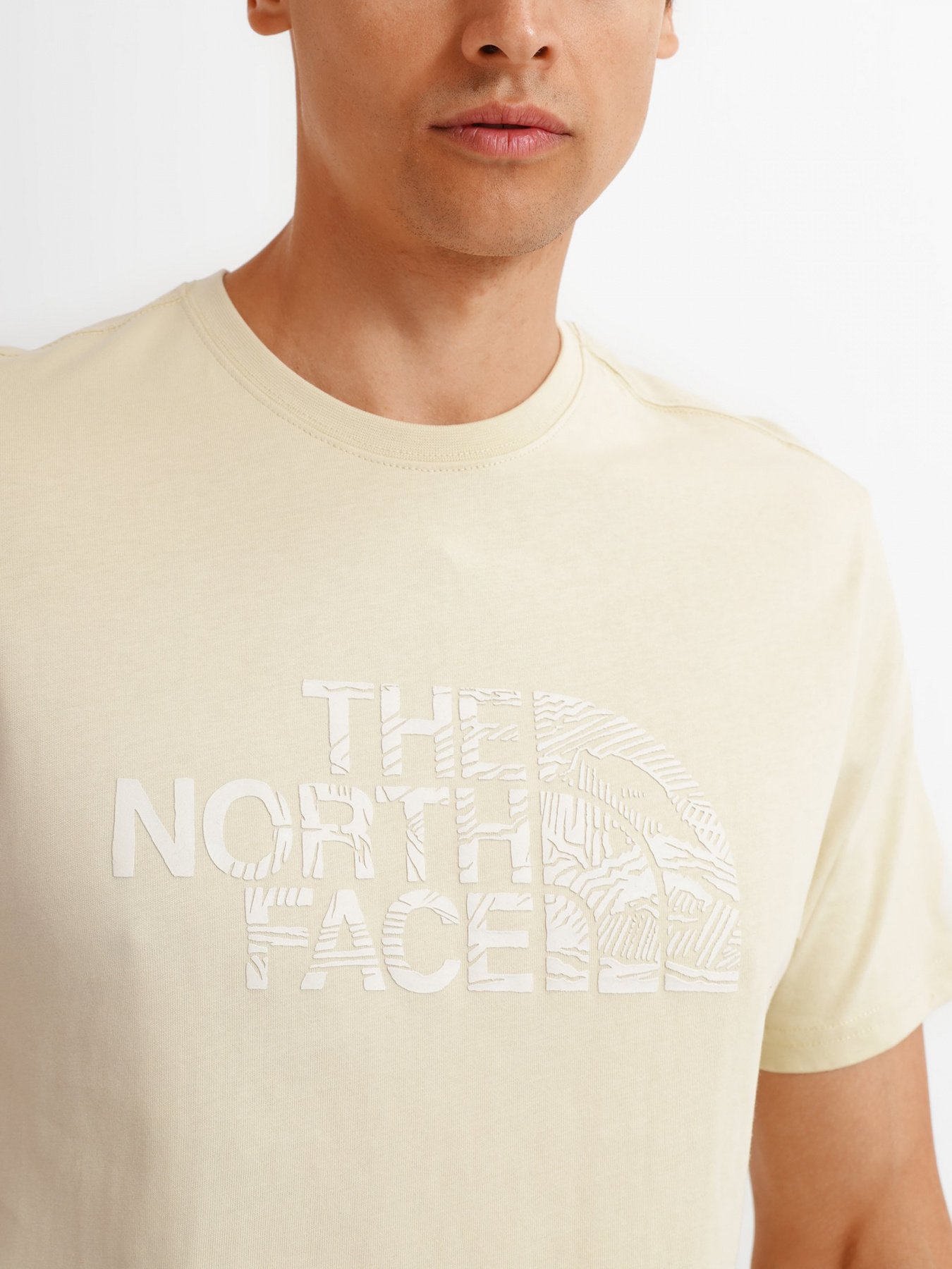 Футболки и поло The North Face WOODCUT DOME модель NF00A3G13X41 Фото