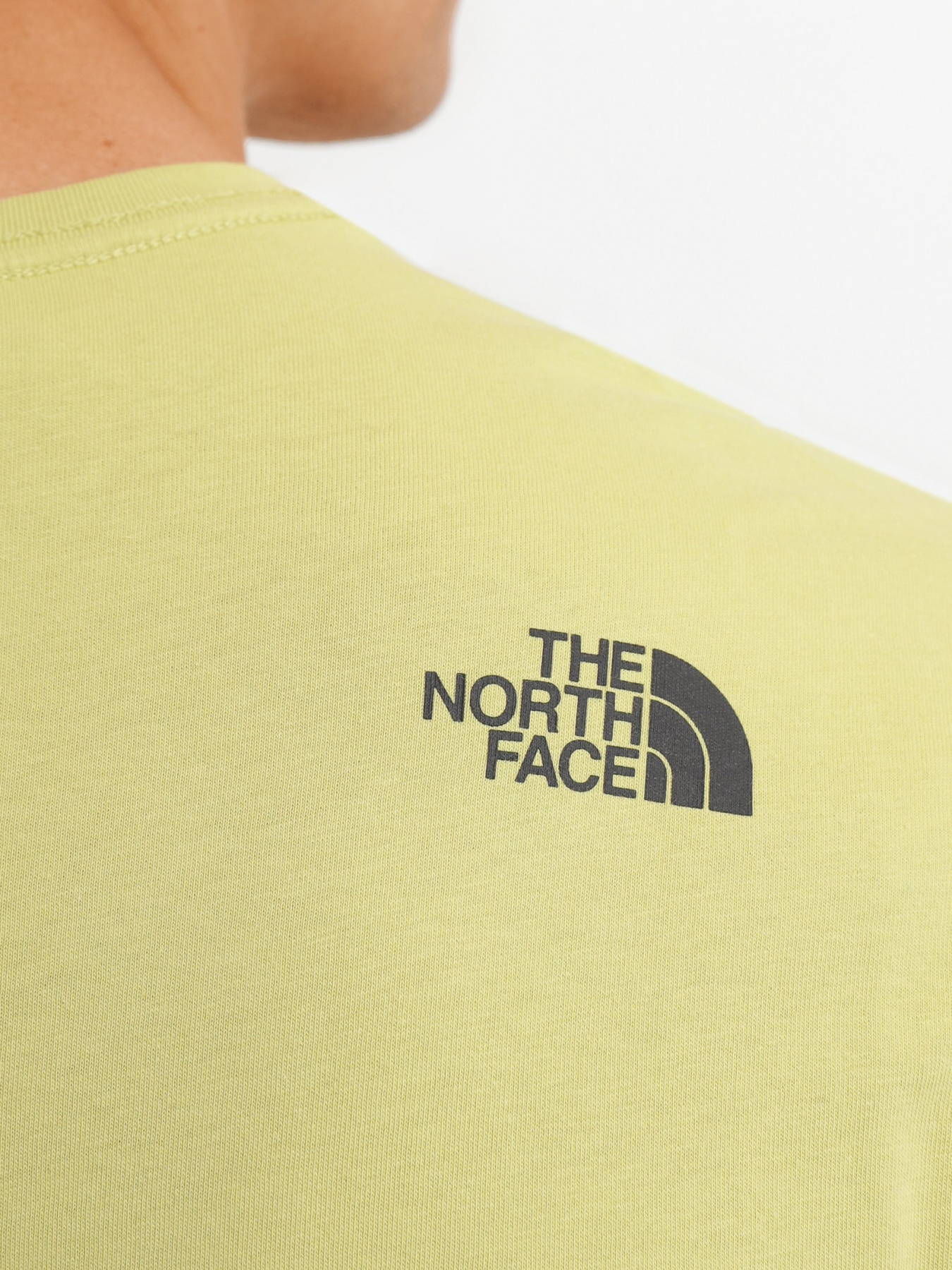 Футболка The North Face S/S Fine Tee модель NF00CEQ53R91 Фото