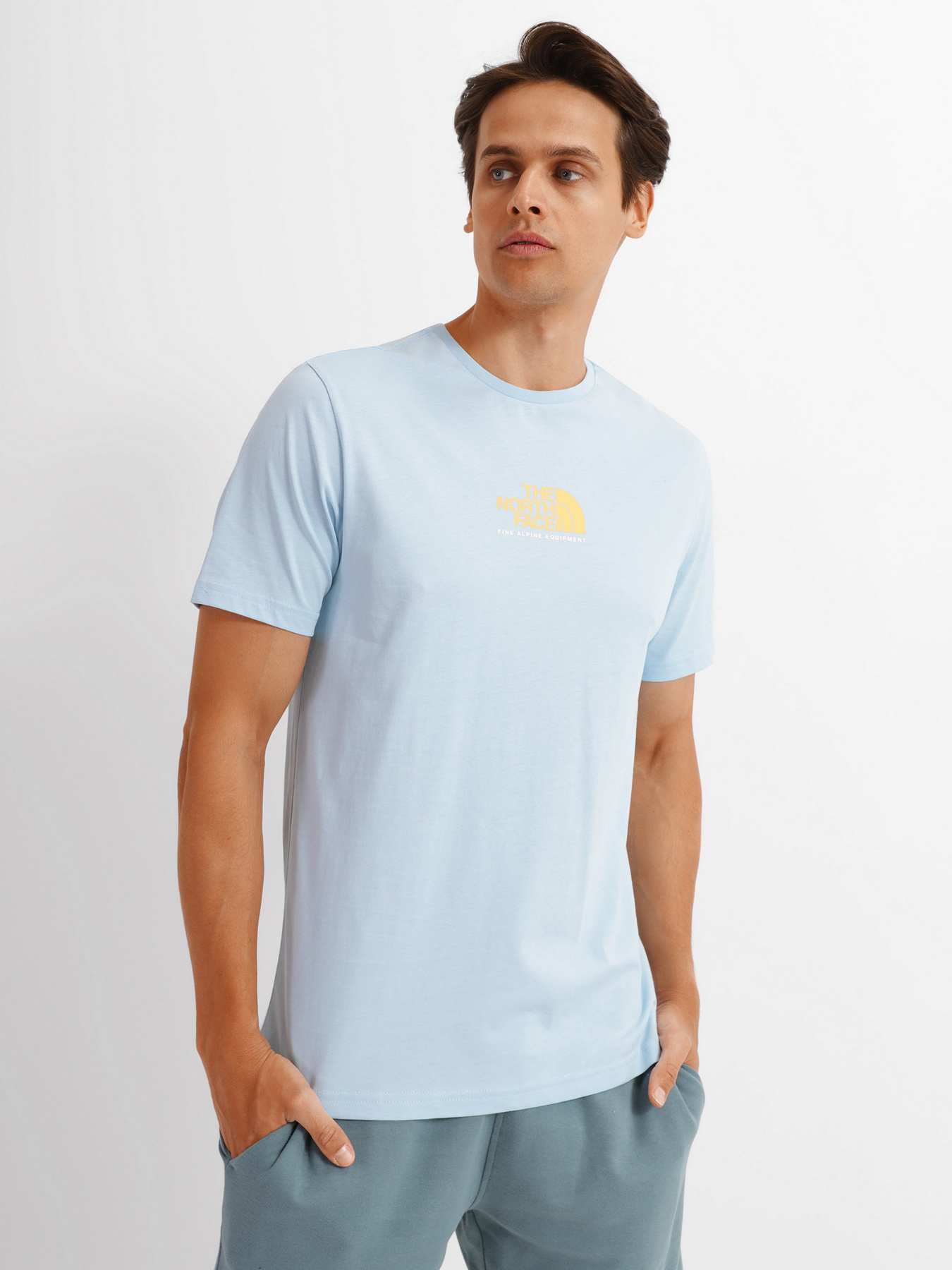 Футболка The North Face Fine Alpine Equipment модель NF0A4SZU3R31 Фото