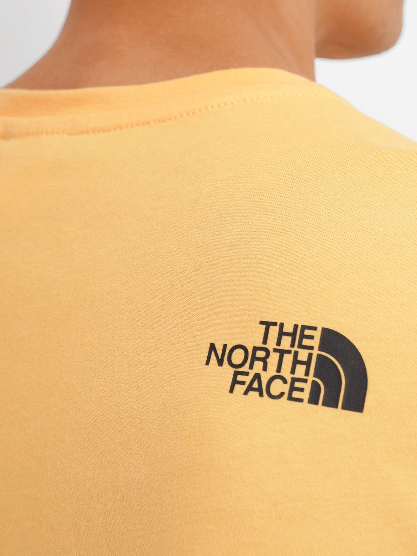 Футболки и поло The North Face Fine Alpine модель NF0A4M6N0UT1 Футболки и поло The North Face Fine Alpine модель NF0A4M6N0UT1 Фото