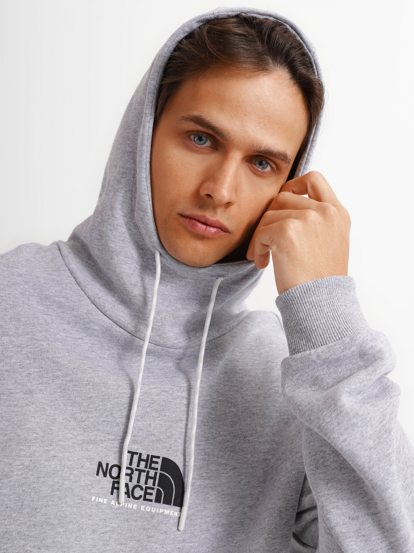 Худи The North Face ALPINE модель NF0A3XY3DYX1 Фото