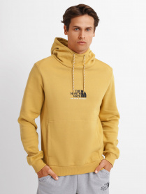 Худі The North Face ALPINE модель NF0A3XY3ZSF1 Фото