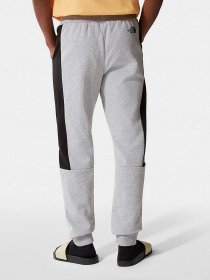 Штаны спортивные The North Face Black Box Fine Alpine Equipment модель NF0A7R2KDYX1 Фото