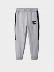 Штаны спортивные The North Face Black Box Fine Alpine Equipment модель NF0A7R2KDYX1 Фото