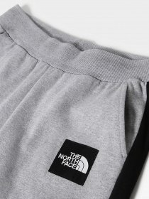 Штаны спортивные The North Face Black Box Fine Alpine Equipment модель NF0A7R2KDYX1 Фото