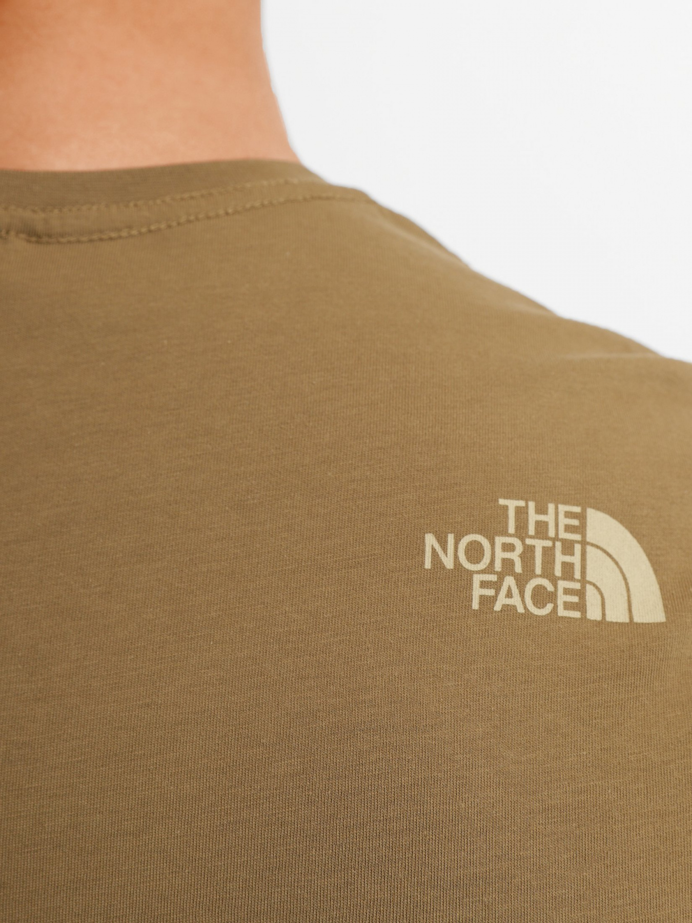 Футболки і поло The North Face RUST 2 модель NF0A4M6837U1 Фото